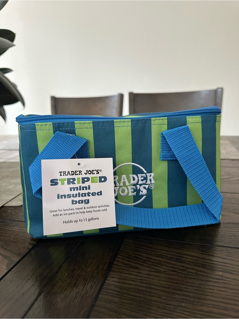 Trader Joe's Blue & Green Striped Mini Insulated Tote